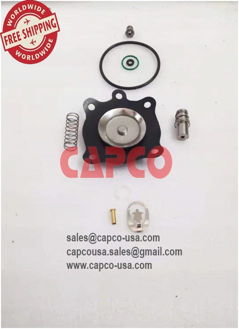 2906069100 BLOW DOWN VALVE KIT