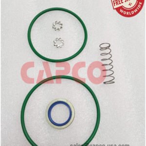 CHECK VALVE KIT  2901001400