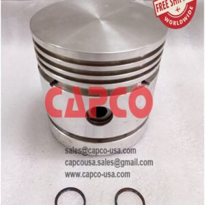 Piston 020494560