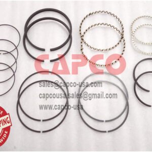 PISTON RING SET W114364T9