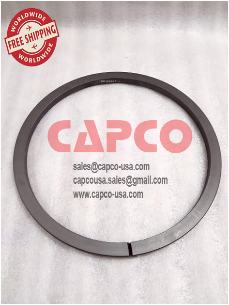 Piston Ring 95046025