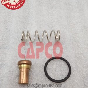 Thermal Valve B008700780001