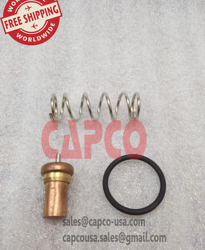 Thermal Valve B0008700780003