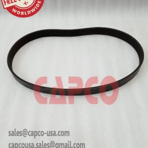 Belt 1903575313