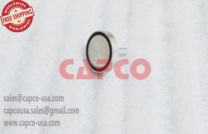 VALVE DISK 1622907800