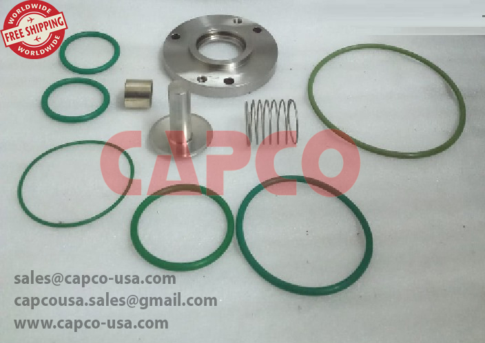 CHECK VALVE KIT 2906067100