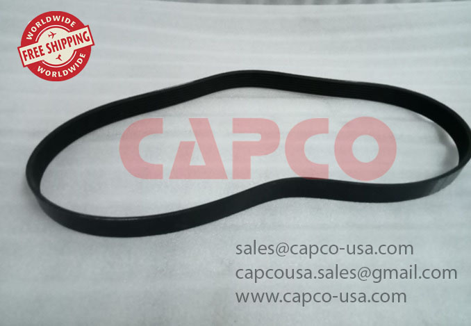 BELT 89306302