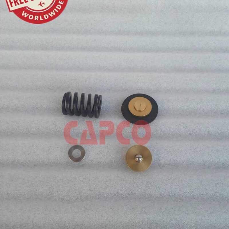 PRESSURE REGULATOR REPAIR KIT 0250019-453  NON OEM FREE SHIPPING