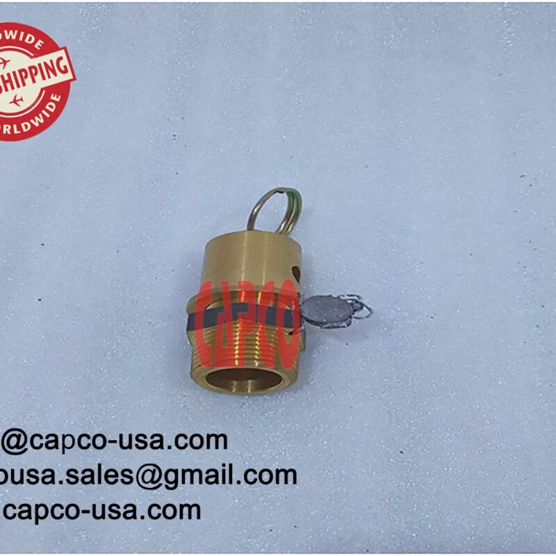SAFETY VALVE X1396T2-65
