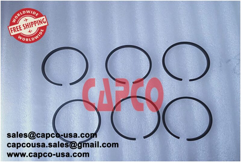PISTON RING SET W114364T4