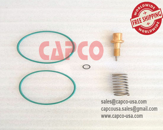Thermal Valve Kit  23710850/Non Oem/Free Shipping