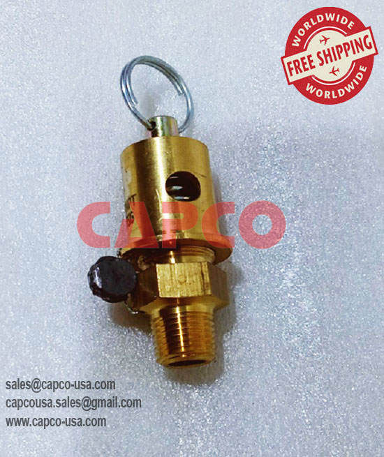 Safety valve 1/4"X60 PSI  X1396T28-60/NON OEM/FREE SHIPPING