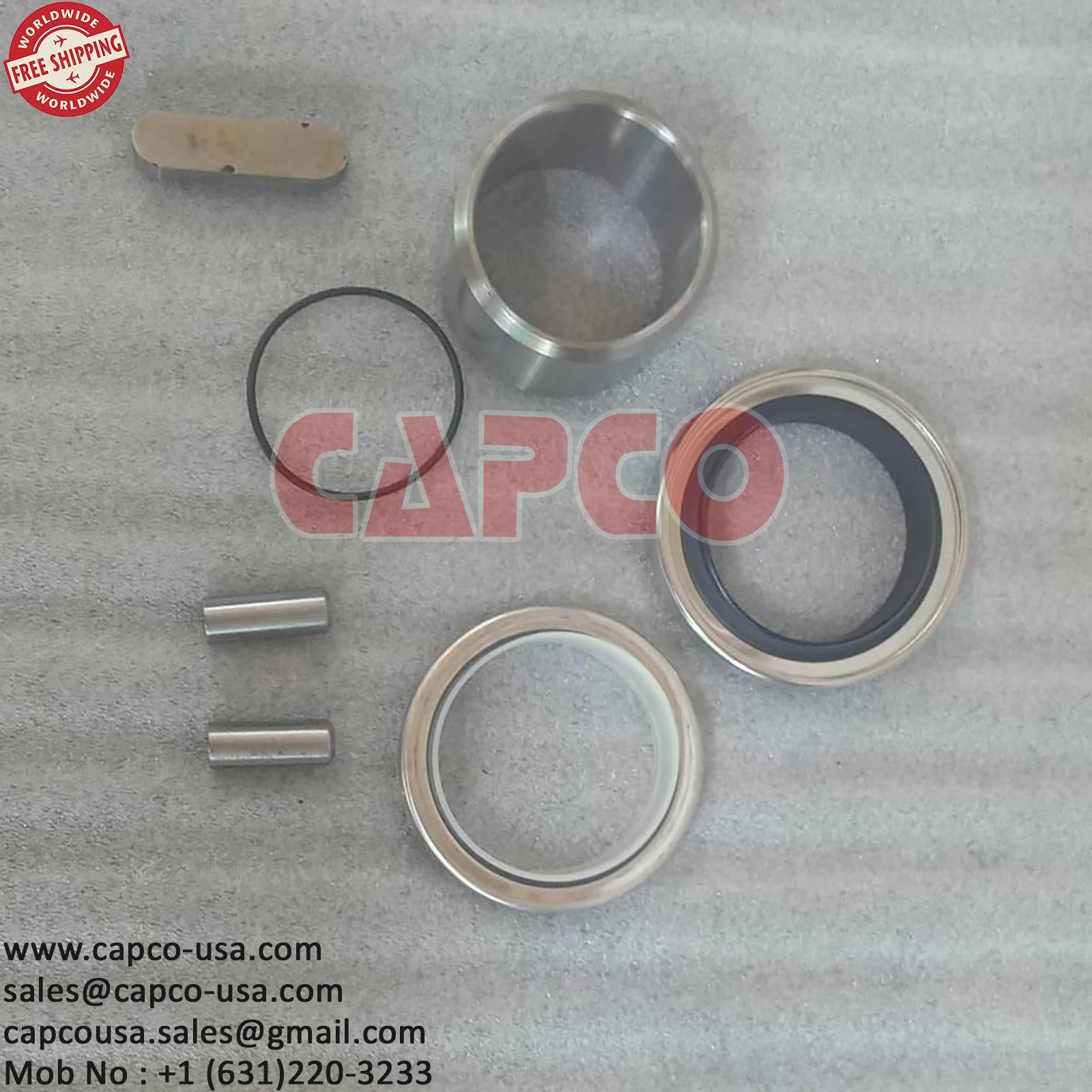 SHAFT SEAL KIT OEM TYPE COMPONENTS/ 22066245FREE SHIPPING