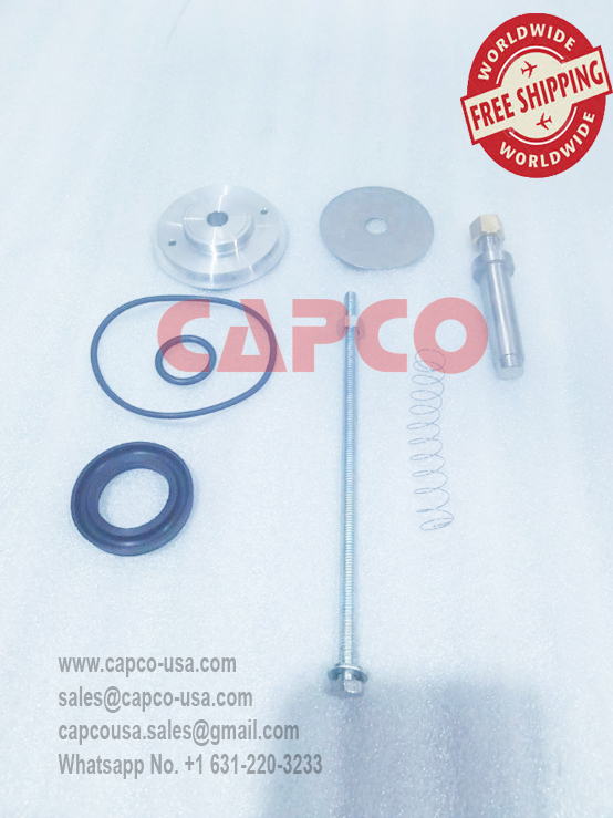 Maintenance valve kit 403296.0/Non Oem/Free Shipping