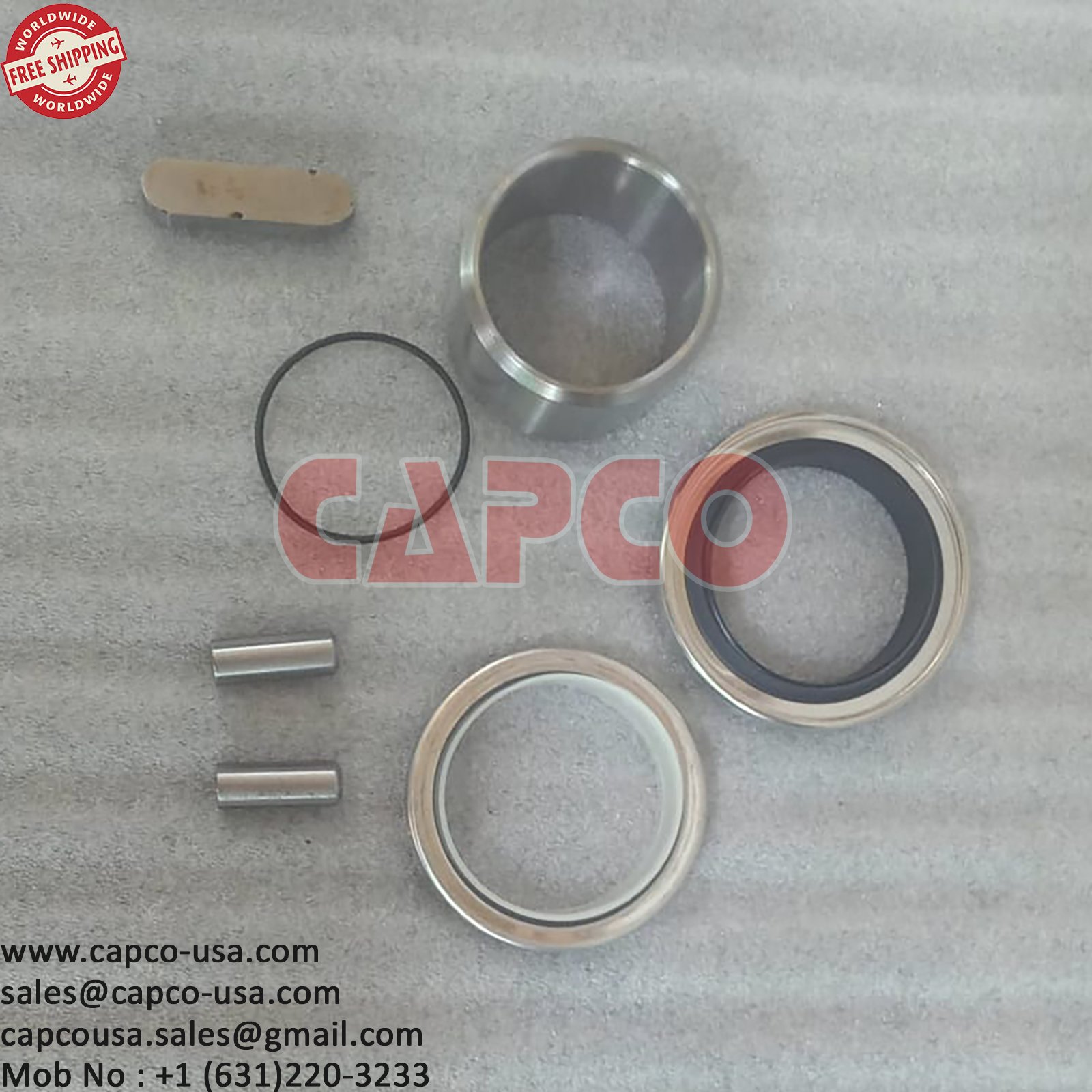 SHAFT SEAL KIT OEM TYPE COMPONENTS 83903544/FREE SHIPPING