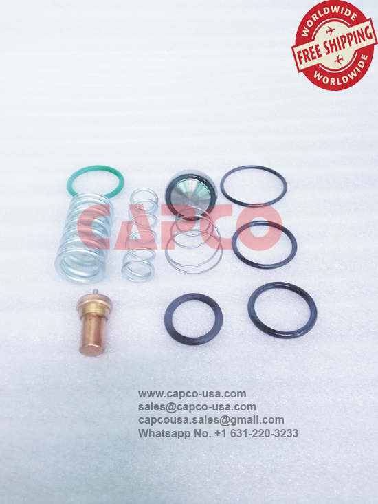 kit Service 49144587001/NON OEM/FREE SHIPPING