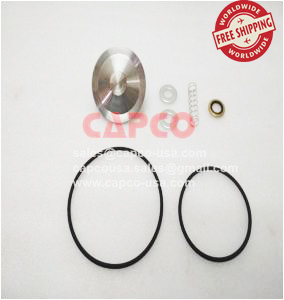 CHECK VALVE KIT 2906012000/NON OEM/FREE SHIPPING