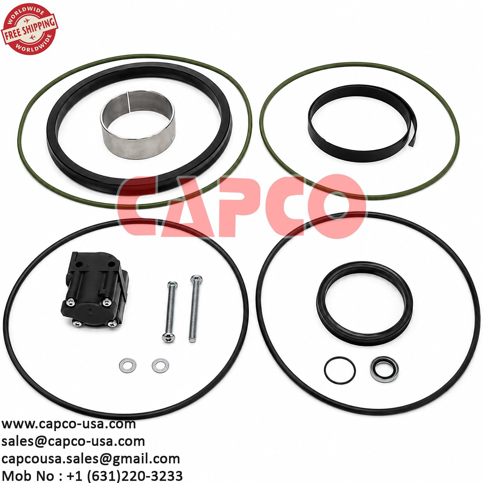 UNLOADER VALVE KIT 3001531110 /NON OEM/FREE SHIPPING