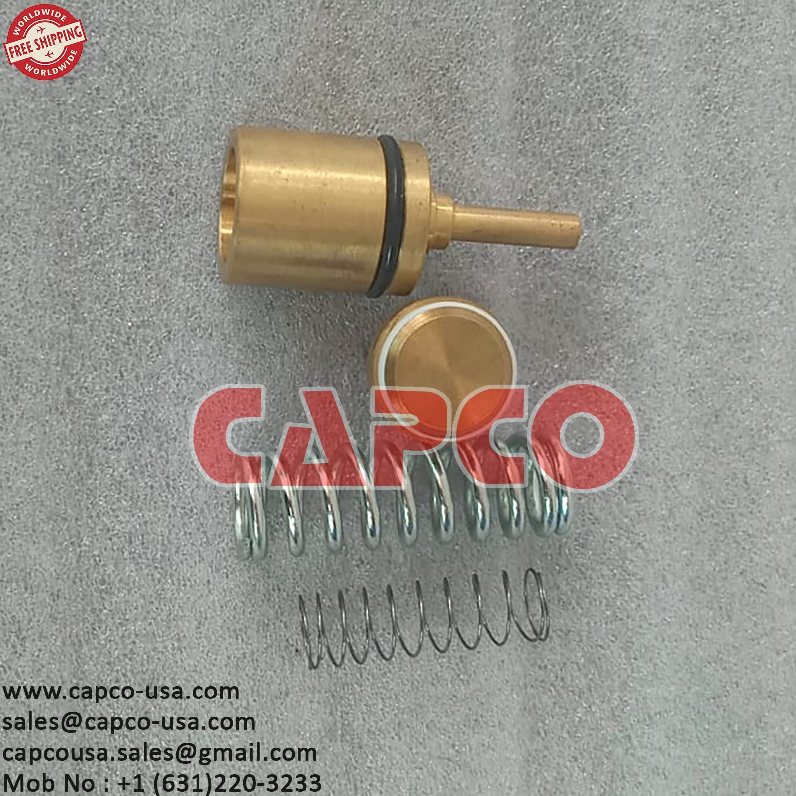 MINIMUM PRESS CHECK VALVE KIT 23134968/NON OEM FREE SHIPPING