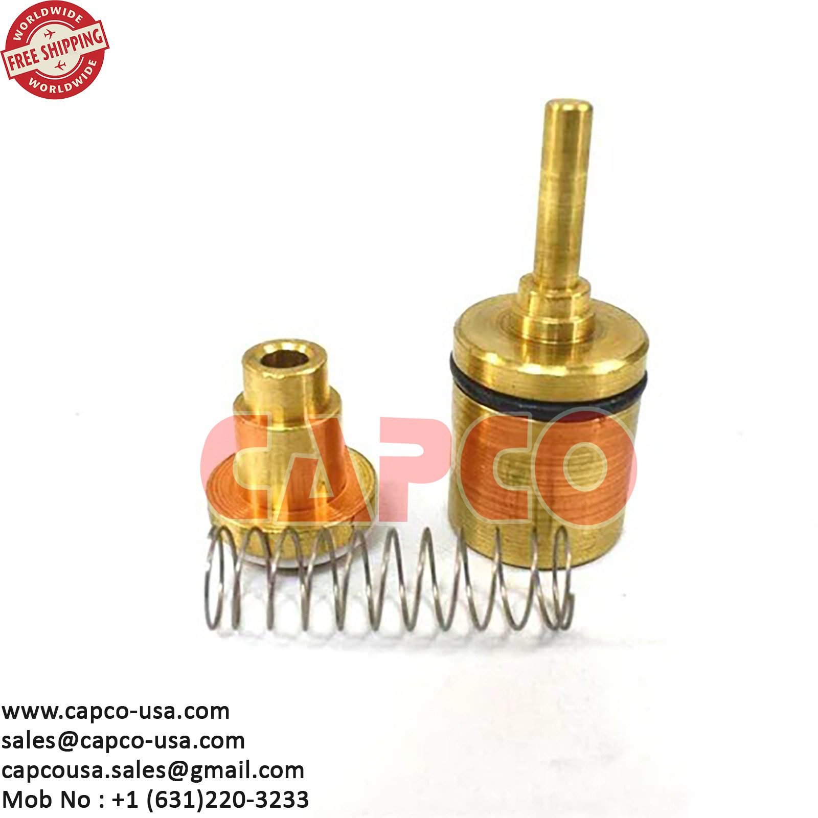 MINIMUM PRESS CHECK VALVE KIT 23134968/NON OEM FREE SHIPPING