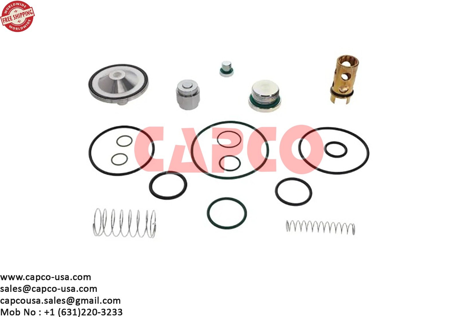 OIL STOP CHECK VALVE KIT 3002602520 NON OEM FREE SHIPPING