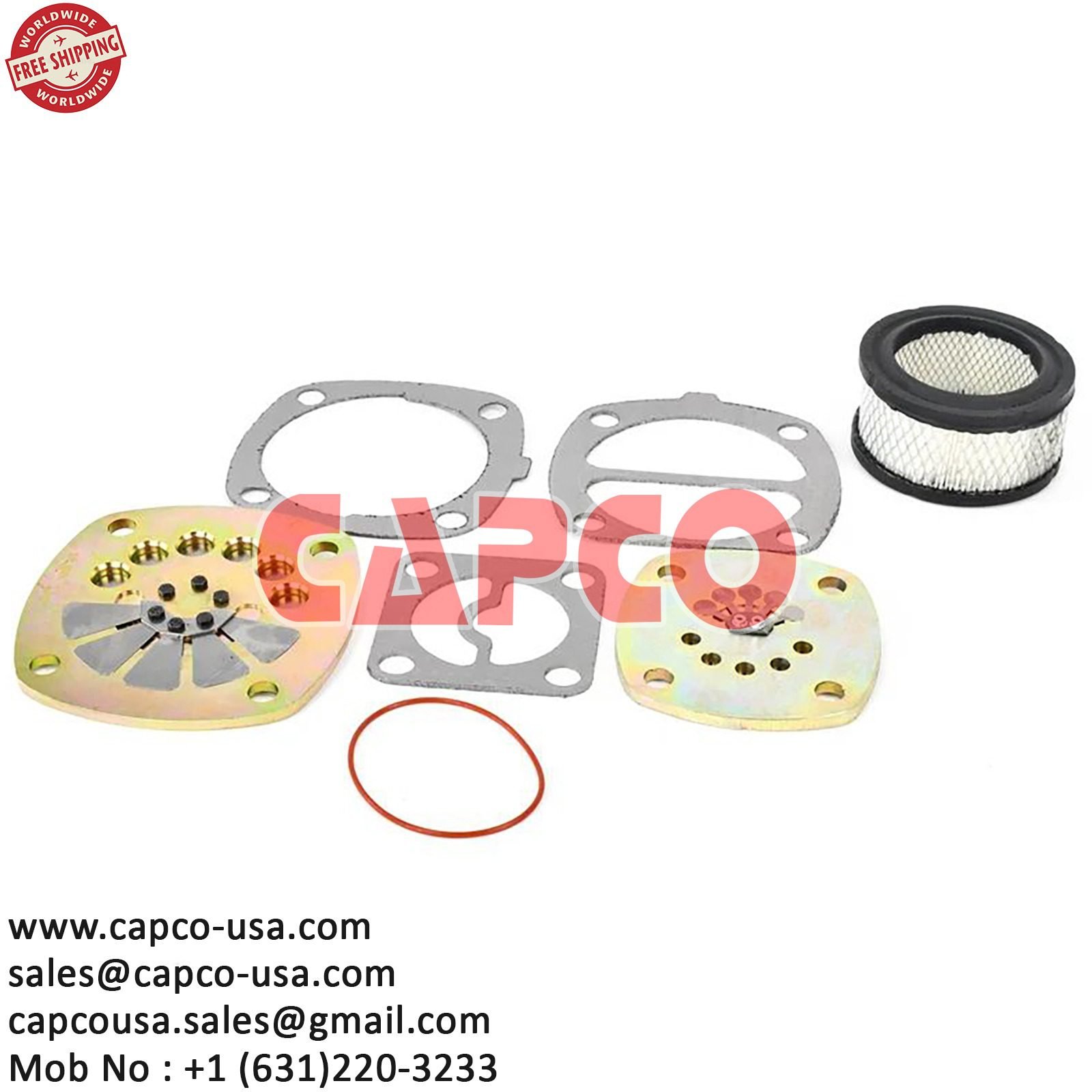 VALVE KIT WITH FILTER ELEMENT MODEL 2475 38458287+32170979/NON OEM/FREE SHIPPING