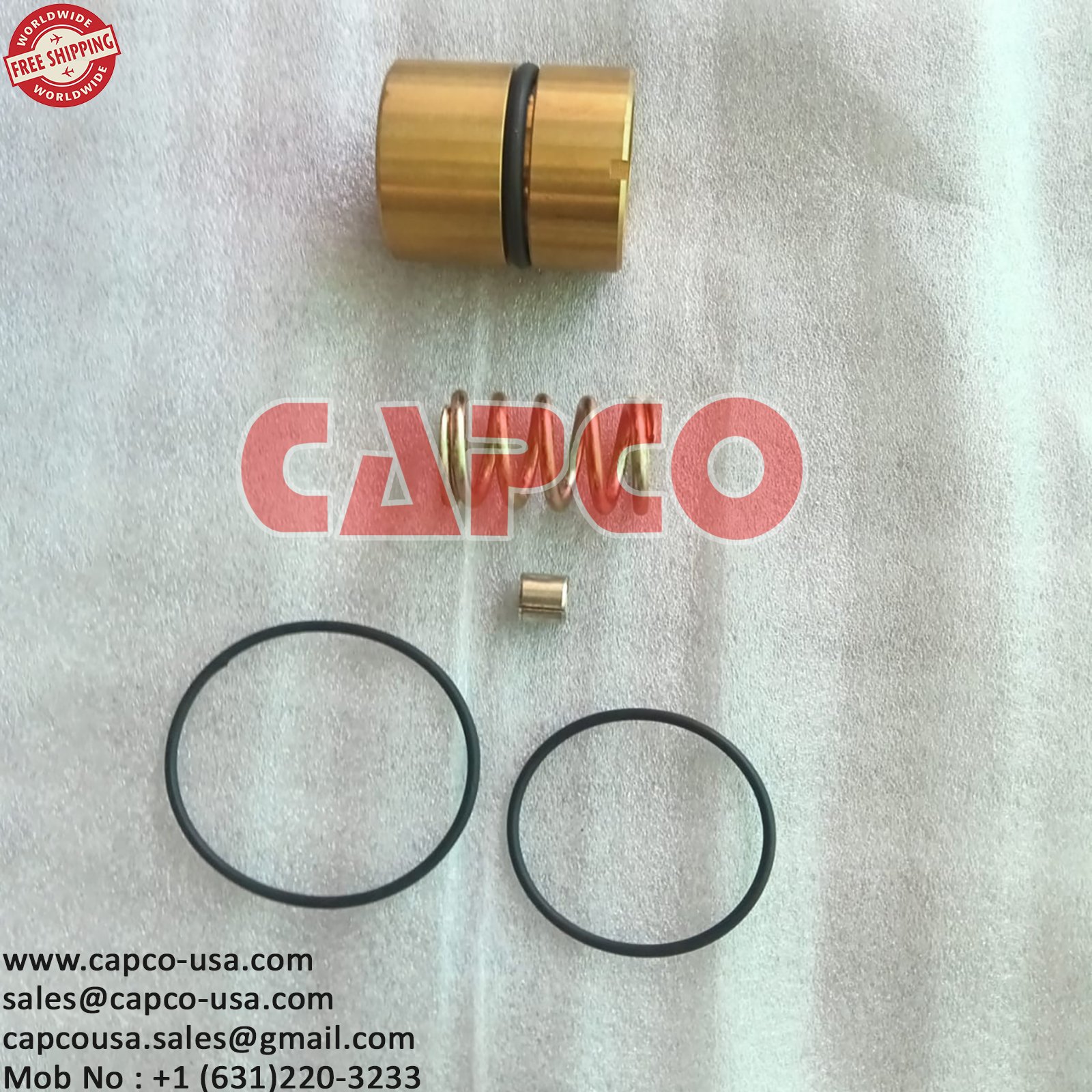 8973026293 MINIMUM PRESSURE VALVE KIT